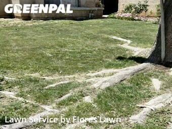 Yard Mowing nearby Palmdale, CA, 