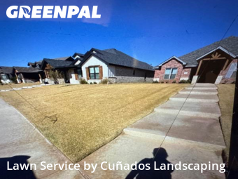 Yard Cutting nearby Lubbock, TX, 