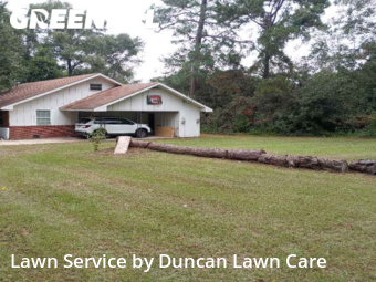 Lawn Cut nearby Moultrie, FL, 
