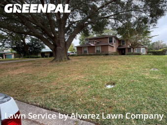Lawn Mowing Servicein Altamonte Springs,32701,Lawn Mowing Service by Alvarez Lawn Company, work completed in Dec , 2025