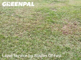 Yard Mowing nearby Griffin, GA, 