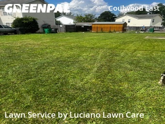 Lawn Cut nearby Charlotte, NC, 