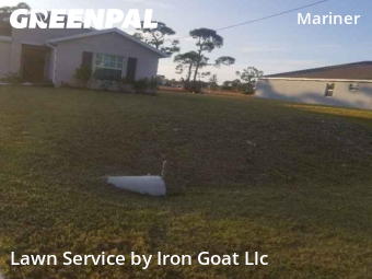Lawn Cut nearby Cape Coral, FL, 
