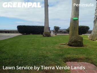 Commercial Landscaping In Long Beach,90803,Landscaping by Tierra Verde Lands, work completed in Oct , 2025