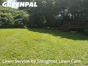Grass Cutting nearby Oak Ridge, TN, 