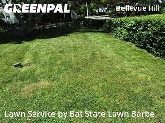 Lawn mowed in Boston, 2132