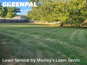 Lawn Care nearby Clarksville, TN, 