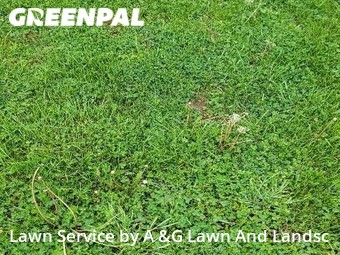 Lawn Mowing Service nearby Mason, OH, 