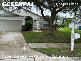 Yard Cutting nearby Wesley Chapel, FL, 