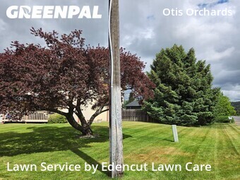 Lawn Mow nearby Otis Orchards East Farms, WA, 
