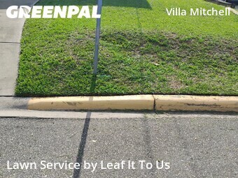 Grass Cut nearby Tallahassee, FL, 