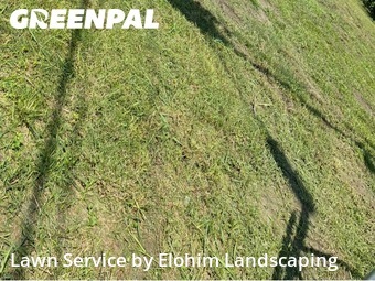 Grass Cuttingin Conroe,77303,Lawn Care Service by Elohim Landscaping, work completed in Dec , 2025