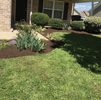 Local Lawn care service near me in Chilton, WI, 53014