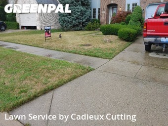 Grass Cutting nearby Macomb, MI, 