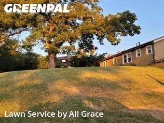 Lawn Cut nearby Kansas City, MO, 