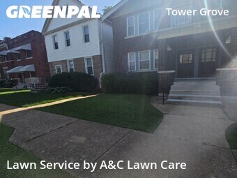Yard Cutting nearby St. Louis, MO, 