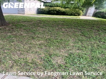 Lawn Mowing Service nearby Denton, TX, 