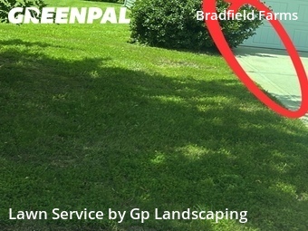 Lawn Care Service nearby Charlotte, NC, 
