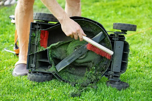 Mr B's Lawnmower Shop Photo 10