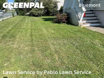 Yard Mowing nearby Arlington, VA, 