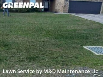 Lawn Cut nearby Denham Springs, LA, 