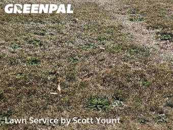 Lawn Mowing nearby Freeport, IL, 