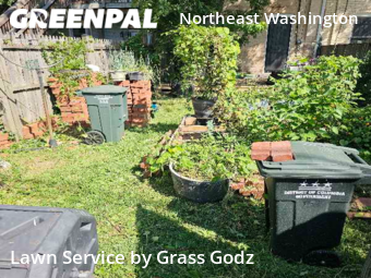 Lawn Mow nearby Washington, DC, 