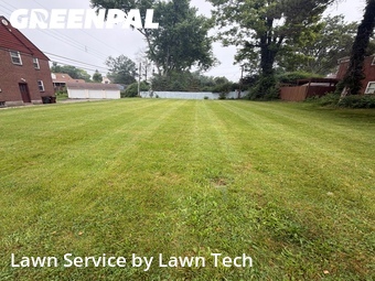 Lawn Mow nearby Dayton, OH, 
