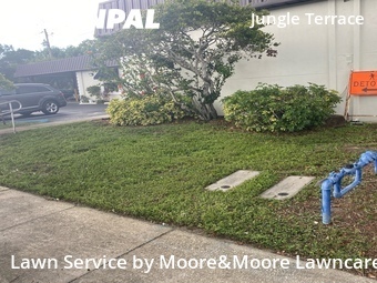 Lawn Mowing nearby St. Petersburg, FL, 