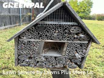 Lawn Cutting nearby Edmond, OK, 