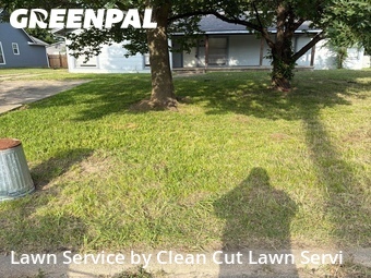 Lawn Mow nearby Commerce, TX, 