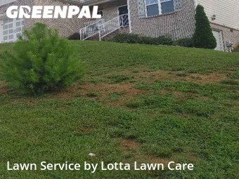 Lawn Care nearby Chattanooga, TN, 
