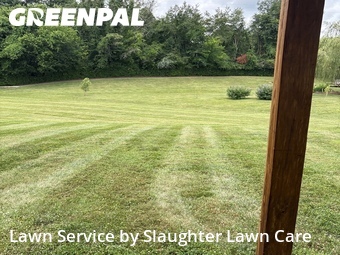 Lawn Mowing nearby Powell, TN, 