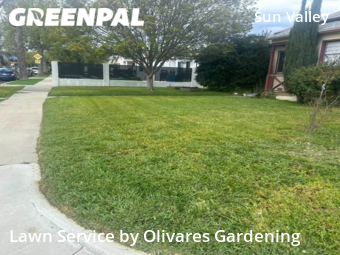 Lawn Cutting nearby North Hollywood, CA, 