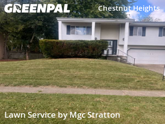 Grass Services in Elyria, 44035, Front Yard Mowing by Mgc Stratton, work completed in Dec , 2025