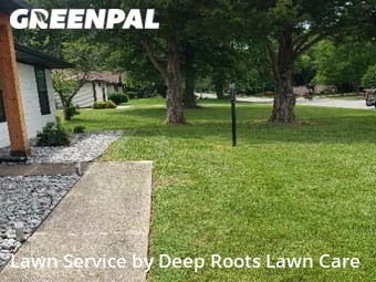 Lawn Cut nearby Springfield, MO, 