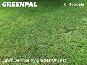 Lawn Mow nearby Fairburn, GA, 