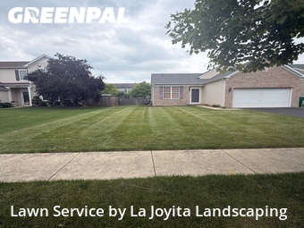 Lawn Cut nearby Joliet, IL, 