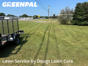 Yard Cutting nearby Bowdon, GA, 