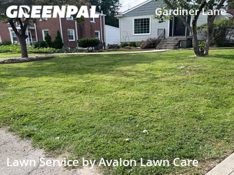 Lawn Mow nearby Louisville, KY, 