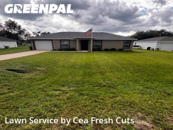 Lawn Cut nearby Ocala, FL, 