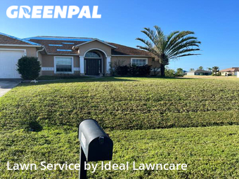 Lawn Cut nearby Cape Coral, FL, 