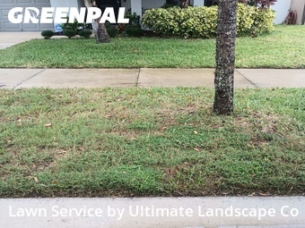 Lawn Mow nearby Ruskin, FL, 