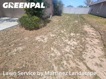 Lawn Mowing Service nearby Clermont, FL, 