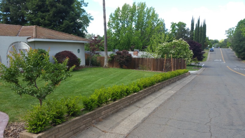 Order Lawn Care in Sacramento, CA, 95828