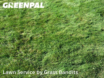 Lawn Care Service nearby Billings, MT, 