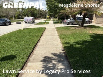 Yard Cutting nearby Land O'lakes, FL, 