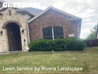 Lawn Mowing Service nearby Frisco, TX, 