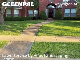 Lawn Mowing nearby Plano, TX, 