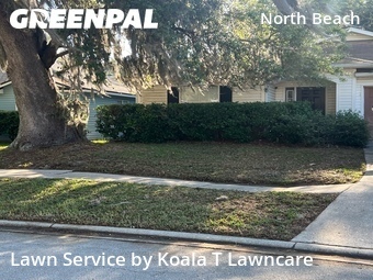 Grass Cuttingin Atlantic Beach,32233,Lawn Cutting by Koala T Lawncare, work completed in Jun , 2026